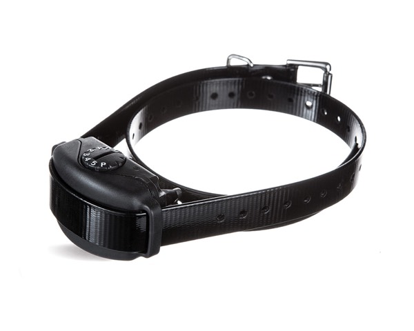 DogWatch of the Old Dominion, Warrenton, Virginia | BarkCollar No-Bark Trainer Product Image
